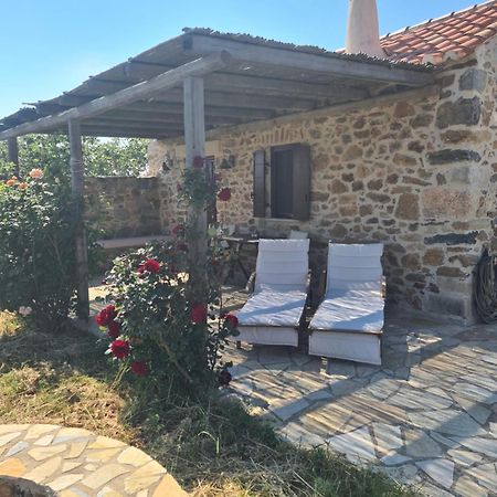 The Stone House Villa Potamos  Eksteriør billede