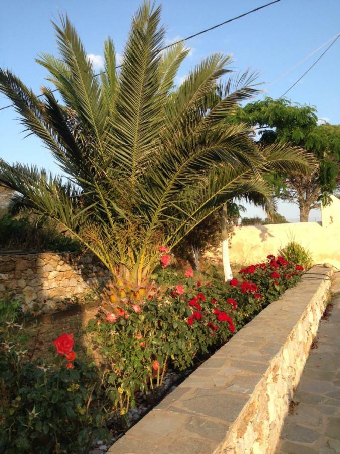 The Stone House Villa Potamos  Eksteriør billede